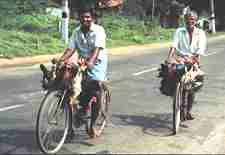 H&uuml;hnertransport am Lenker