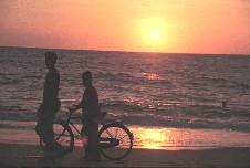 Am Strand von Sri Lanka