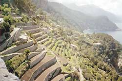 Anbauterrassen im Westen Mallorcas